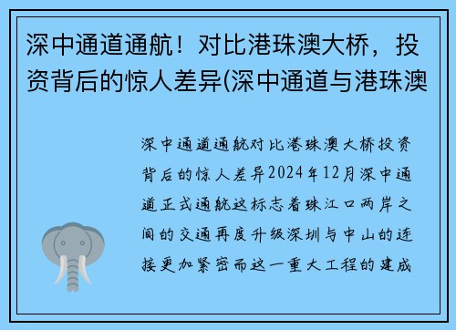 深中通道通航！对比港珠澳大桥，投资背后的惊人差异(深中通道与港珠澳大桥意义大比拼)